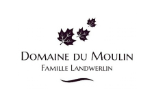 logo (25)